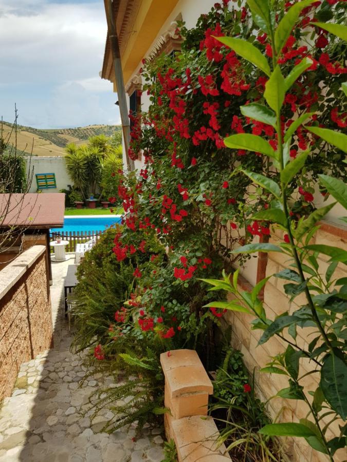 Holiday home Hierbabuena Valle de Abdalagis